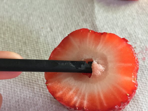 Strawberry Teardown, Now what?: crwdns2935265:06crwdnd2935265:02crwdnd2935265:03crwdne2935265:0