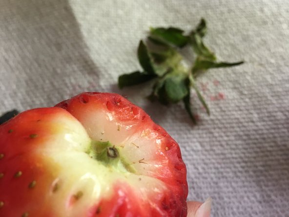 Strawberry Teardown, The clue: crwdns2935265:04crwdnd2935265:03crwdnd2935265:03crwdne2935265:0