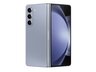 Samsung Galaxy Z Fold Devices
