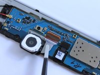 Samsung Galaxy Tab S2 9.7 Verizon Tablet Rear-Facing Camera Replacement