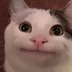 crwdns2933455:0Annalise Whitecrwdne2933455:0