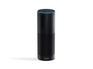 Resetting store amazon echo