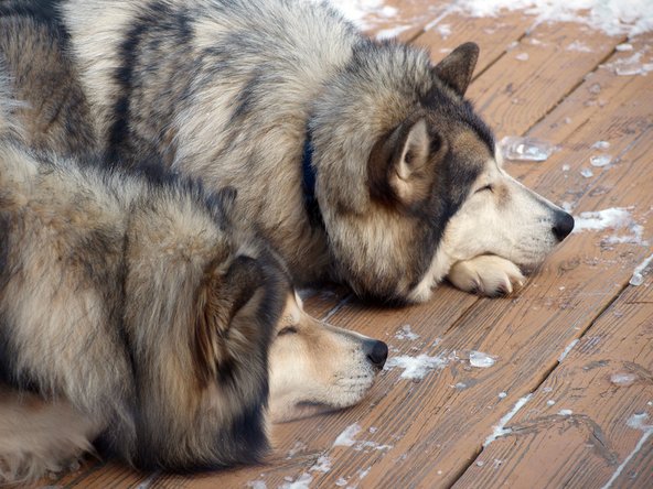 crwdns2853021:0crwdne2853021:0