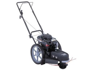 Craftsman Weed Whacker 917.773704