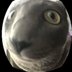 crwdns2933455:0Kyle Montaguecrwdne2933455:0