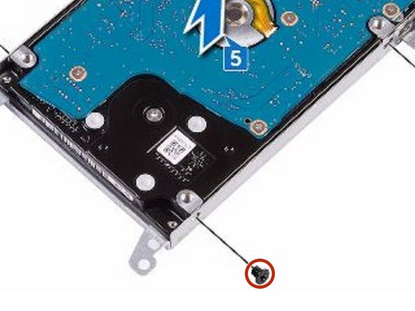 Dell Inspiron 14 3462 Hard Drive Replacement, Replace the Screws: crwdns2935265:09crwdnd2935265:02crwdnd2935265:02crwdne2935265:0
