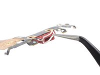 iPhone SE 2022 Lightning Connector Assembly Replacement