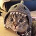 crwdns2933455:0Lucascrwdne2933455:0