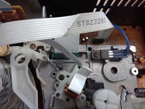 stepid 205583