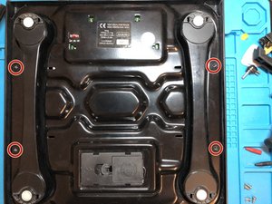 stepid 342467