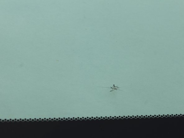 Rain-X Chipped Windshield Repair: step 11, image 1 of 1
