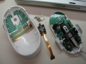 crwdns2886502:0ldanielcrwdne2886502:0