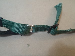 Dog (Pet) Harness Strap Replacement - iFixit Repair Guide