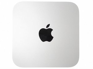 crwdns2886502:0Paolocrwdne2886502:0