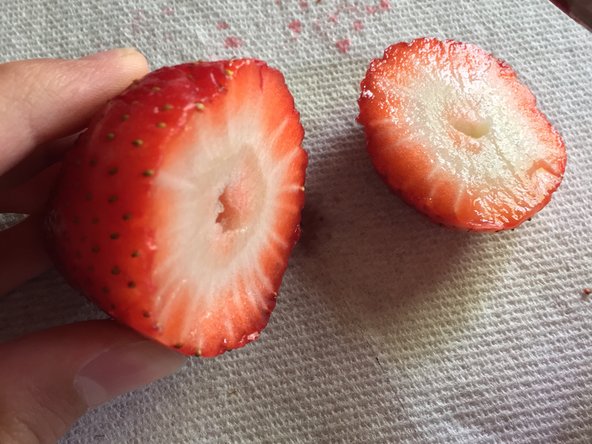 Strawberry Teardown, We got in! (Time for Destruction >:D): crwdns2935265:05crwdnd2935265:03crwdnd2935265:03crwdne2935265:0