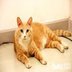 crwdns2933455:0ShengKun Lucrwdne2933455:0