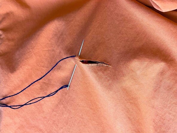 Whip Stitch on a Tear, Start the stitch: crwdns2935265:04crwdnd2935265:02crwdnd2935265:02crwdne2935265:0