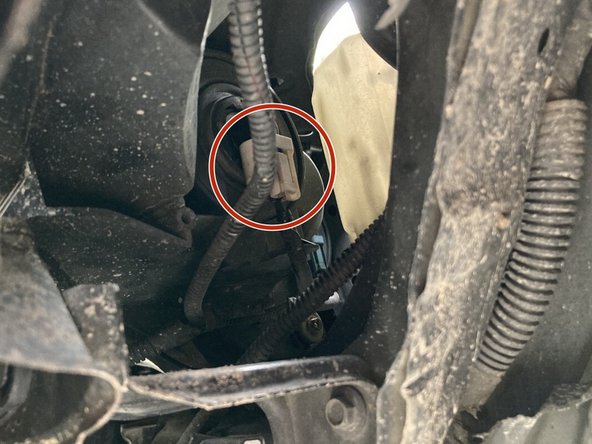 Identify the headlight by looking for a clip connected to a wire such as the white one shown.