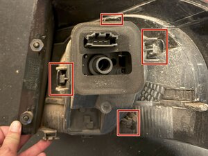stepid 390385