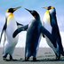 crwdns2933455:0Kevin Horwedelcrwdne2933455:0