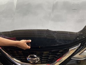 Windshield Wiper Fluid