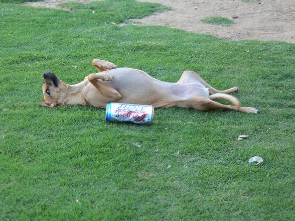 crwdns2853021:0crwdne2853021:0