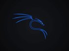 How to launch Kali Linux Forensics Mode