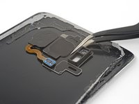 Samsung Galaxy S8 Rear Camera Bezel Replacement