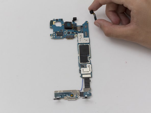 Samsung Galaxy S5 Front Camera Replacement, Front Camera: crwdns2935265:019crwdnd2935265:02crwdnd2935265:02crwdne2935265:0