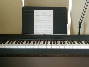 Digital piano no deals sound