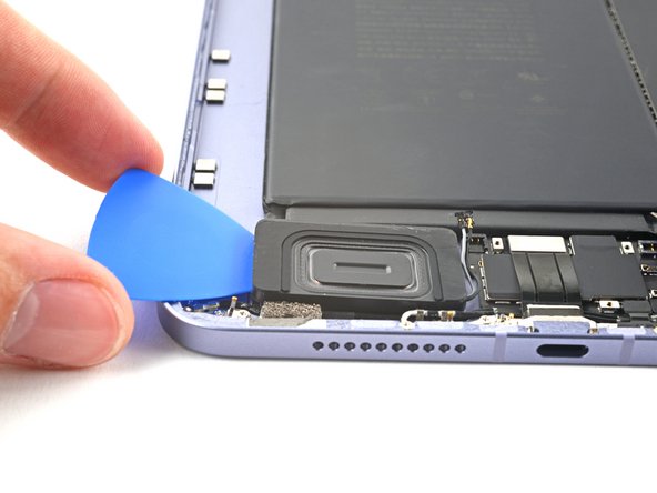 iPad Mini 6 Bottom Speaker Replacement, Separate the bottom speaker's adhesive: stap 0, afbeelding 3 van 3