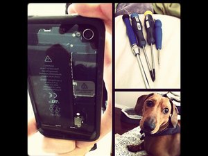 crwdns2886502:0adizzcrwdne2886502:0