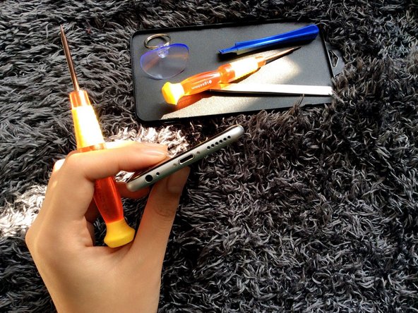 Remove  iPhone 6 Plus LCD screen, Shut down and remove the bottom screw: step 2, image 1 of 1