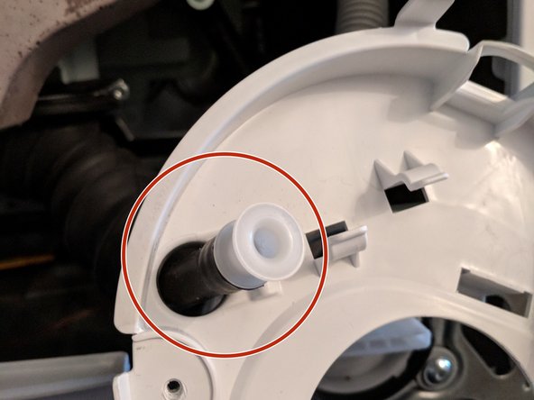 Washing Machine Disassembly to Access Water Drain Pump, Remove drain/filter cover plate: step 12, image 3 of 3