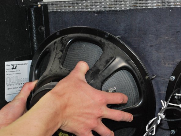 Fender 65 Twin Reverb Speaker Replacement: crwdns2935265:04crwdnd2935265:02crwdnd2935265:03crwdne2935265:0