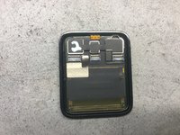 Install Series 2 Display on a Series 3 with Apple Pay
