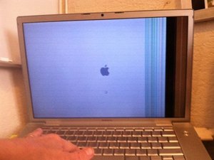 crwdns2886502:0Susancrwdne2886502:0