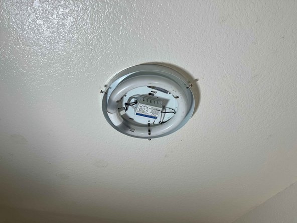 Circline Fluorescent Light Bulb Replacement: crwdns2935265:02crwdnd2935265:03crwdnd2935265:03crwdne2935265:0