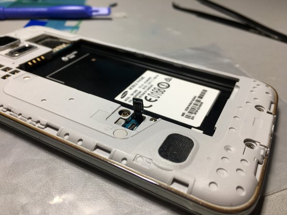 Samsung Galaxy S5 Fingerprint Reader Replacement, Display and home button cable: step 23, image 2 of 2