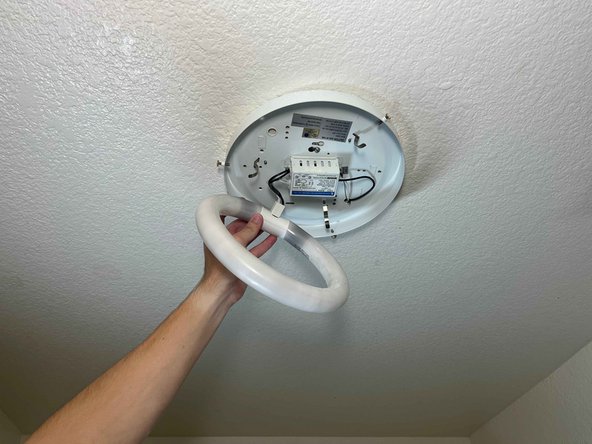 Circline Fluorescent Light Bulb Replacement: crwdns2935265:03crwdnd2935265:03crwdnd2935265:03crwdne2935265:0