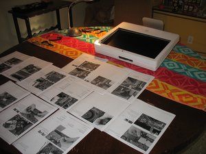 crwdns2886502:0robinvaneykcrwdne2886502:0