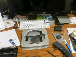 crwdns2886502:0bencrwdne2886502:0