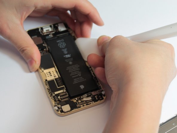 iPhone 6 Teardown: crwdns2935265:04crwdnd2935265:01crwdnd2935265:02crwdne2935265:0