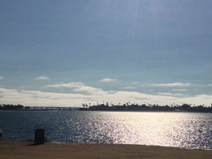 crwdns2886502:0msutton609crwdne2886502:0