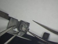 Fix iPhone X Stuck On Apple Logo/iTunes Error 4013