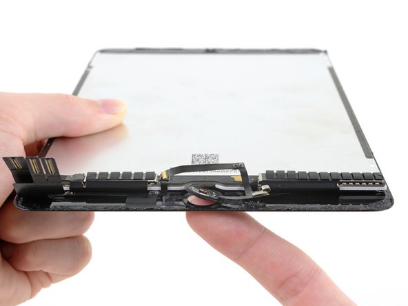 iPad mini 5 Wi-Fi Screen Replacement, Remove the home button assembly: crwdns2935265:040crwdnd2935265:02crwdnd2935265:02crwdne2935265:0