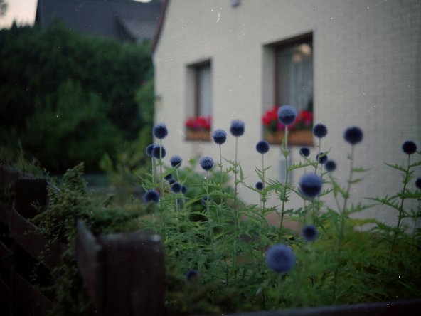 Foth Flex TLR Camera Restoration: crwdns2935265:017crwdnd2935265:03crwdnd2935265:03crwdne2935265:0