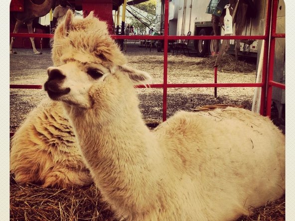 crwdns2853021:0crwdne2853021:0