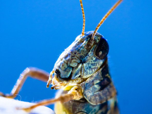 crwdns2853021:0crwdne2853021:0