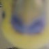 crwdns2933455:0dmeuse1crwdne2933455:0